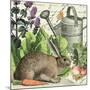 Garden Rabbit I-Wild Apple Portfolio-Mounted Art Print