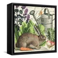 Garden Rabbit I-Wild Apple Portfolio-Framed Stretched Canvas