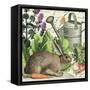 Garden Rabbit I-Wild Apple Portfolio-Framed Stretched Canvas