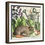 Garden Rabbit I-Wild Apple Portfolio-Framed Art Print