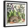 Garden Rabbit I-Wild Apple Portfolio-Framed Art Print