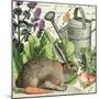 Garden Rabbit I-Wild Apple Portfolio-Mounted Art Print