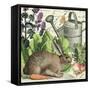 Garden Rabbit I-Wild Apple Portfolio-Framed Stretched Canvas