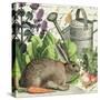 Garden Rabbit I-Wild Apple Portfolio-Stretched Canvas
