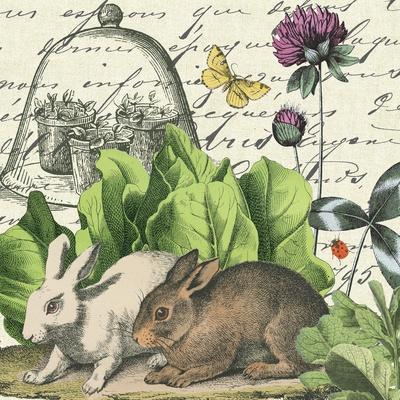 https://imgc.allpostersimages.com/img/posters/garden-rabbit-ii_u-L-Q1I0NX80.jpg?artPerspective=n