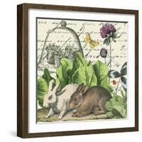 Garden Rabbit II-Wild Apple Portfolio-Framed Art Print