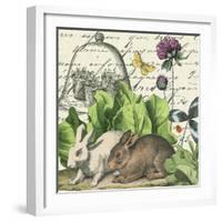 Garden Rabbit II-Wild Apple Portfolio-Framed Art Print