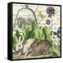 Garden Rabbit II-Wild Apple Portfolio-Framed Stretched Canvas