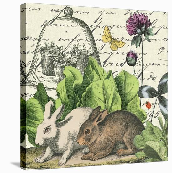 Garden Rabbit II-Wild Apple Portfolio-Stretched Canvas