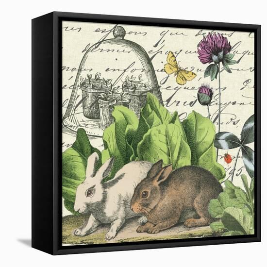Garden Rabbit II-Wild Apple Portfolio-Framed Stretched Canvas