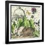 Garden Rabbit II-Wild Apple Portfolio-Framed Art Print