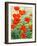 Garden Red Poppies-Christopher Ryland-Framed Giclee Print