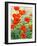 Garden Red Poppies-Christopher Ryland-Framed Giclee Print