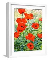 Garden Red Poppies-Christopher Ryland-Framed Giclee Print