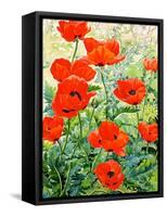 Garden Red Poppies-Christopher Ryland-Framed Stretched Canvas