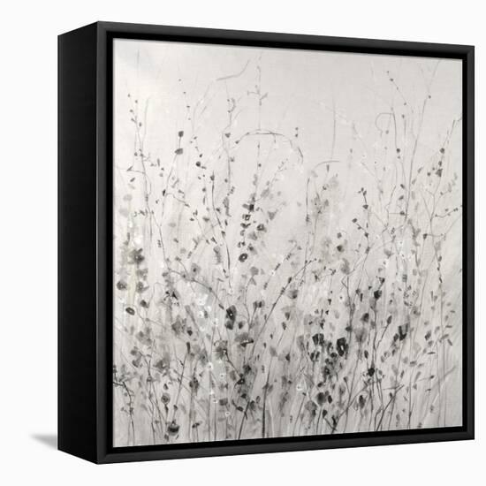 Garden Remnants II-Tim OToole-Framed Stretched Canvas