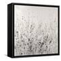 Garden Remnants II-Tim OToole-Framed Stretched Canvas