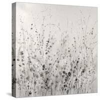 Garden Remnants II-Tim OToole-Stretched Canvas