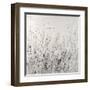 Garden Remnants II-Tim OToole-Framed Art Print