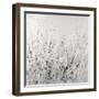 Garden Remnants II-Tim OToole-Framed Art Print