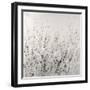 Garden Remnants II-Tim OToole-Framed Art Print