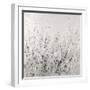 Garden Remnants II-Tim OToole-Framed Art Print