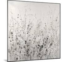 Garden Remnants II-Tim OToole-Mounted Art Print