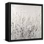 Garden Remnants II-Tim OToole-Framed Stretched Canvas