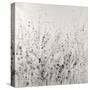 Garden Remnants II-Tim OToole-Stretched Canvas