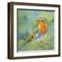 Garden Robin-Sarah Simpson-Framed Art Print