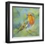 Garden Robin-Sarah Simpson-Framed Art Print