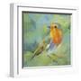 Garden Robin-Sarah Simpson-Framed Art Print