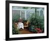 Garden Room-Diane Romanello-Framed Art Print