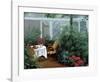 Garden Room-Diane Romanello-Framed Art Print