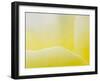 Garden Rose, California, Usa-Paul Colangelo-Framed Photographic Print