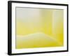 Garden Rose, California, Usa-Paul Colangelo-Framed Photographic Print