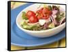 Garden Salad in a Bowl-null-Framed Stretched Canvas