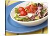 Garden Salad in a Bowl-null-Stretched Canvas