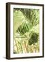 Garden Salad-Shot by Clint-Framed Giclee Print