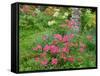 Garden Scene in New Brunswick, Canada-Ellen Anon-Framed Stretched Canvas