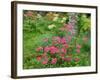 Garden Scene in New Brunswick, Canada-Ellen Anon-Framed Photographic Print