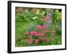 Garden Scene in New Brunswick, Canada-Ellen Anon-Framed Photographic Print