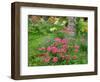 Garden Scene in New Brunswick, Canada-Ellen Anon-Framed Photographic Print