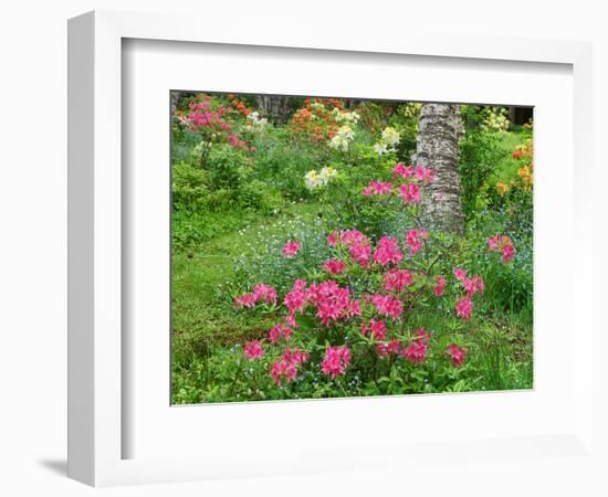 Garden Scene in New Brunswick, Canada-Ellen Anon-Framed Photographic Print