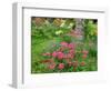 Garden Scene in New Brunswick, Canada-Ellen Anon-Framed Photographic Print