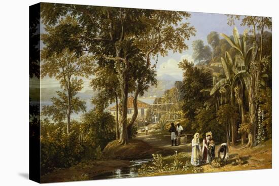 Garden Scene on the Broganza Shore, Rio de Janeiro-William Havell-Stretched Canvas