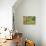 Garden Scene-Max Liebermann-Giclee Print displayed on a wall