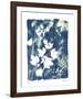 Garden Shadow 1-Lois Bender-Framed Giclee Print