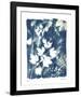 Garden Shadow 1-Lois Bender-Framed Giclee Print