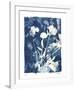 Garden Shadow 4-Lois Bender-Framed Giclee Print